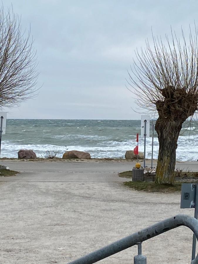 Gaestehaus Schmidt Boltenhagen  Dış mekan fotoğraf